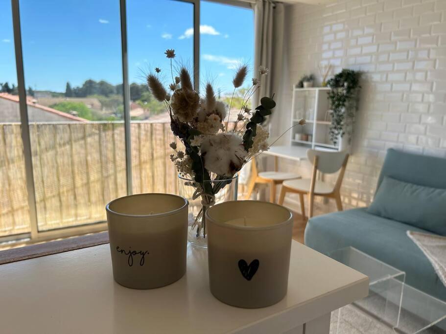Superbe Appartement Renove Avec Cinema - Cap D'阿格德 外观 照片